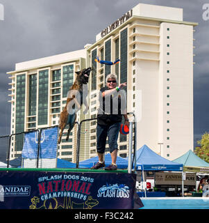 Las Vegas, Nevada, USA. 4. Oktober 2015. EILEEN HARNEDY aus Atascadero, Califiornia, und Belgischer Schäferhund, Glimmer, konkurrieren während die 2015 Splash Hund Meisterschaften. © Brian Cahn/ZUMA Draht/Alamy Live-Nachrichten Stockfoto