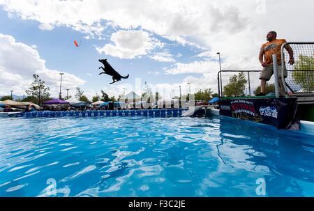 Las Vegas, Nevada, USA. 4. Oktober 2015. JODY EDMONSON und seine Belgische Malinois-Mix, Boo Boo, konkurrieren während die 2015 Splash Hund Meisterschaften. © Brian Cahn/ZUMA Draht/Alamy Live-Nachrichten Stockfoto