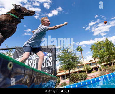 Las Vegas, Nevada, USA. 4. Oktober 2015. CHERYL DELSANGRO, Las Vegas, und ihr Labrador Retriever, Mia, konkurrieren während die 2015 Splash Hund Meisterschaften. © Brian Cahn/ZUMA Draht/Alamy Live-Nachrichten Stockfoto