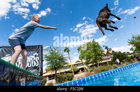 Las Vegas, Nevada, USA. 4. Oktober 2015. CHERYL DELSANGRO, Las Vegas, und ihr Labrador Retriever, Mia, konkurrieren während die 2015 Splash Hund Meisterschaften. © Brian Cahn/ZUMA Draht/Alamy Live-Nachrichten Stockfoto