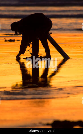Rasiermesser Clammer Silhouette, Long Beach, Washington Stockfoto