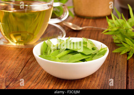 Zitronenverbene hinterlässt auf weiße Schüssel und Eisenkraut Tee auf Holztisch. Aloysia Citrodora. Stockfoto