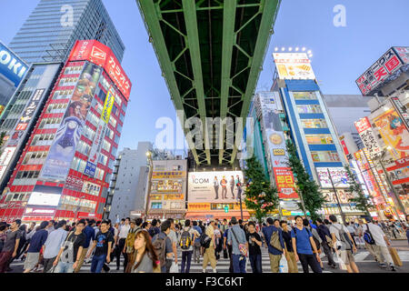 Beschäftigt Fußgängerüberweg in Akihabara, bekannt als Electric Town oder Geek Stadt Verkauf Manga Spiele und Videos in Tokio Japan Stockfoto