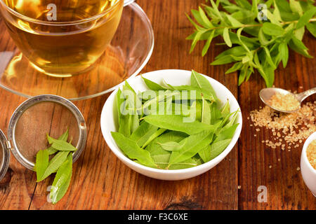 Zitronenverbene hinterlässt auf weiße Schüssel und Eisenkraut Tee auf Holztisch. Aloysia Citrodora. Stockfoto