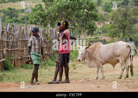 Afrika, Äthiopien, Omo, Ari Stamm Männer auf dem Viehmarkt Stockfoto