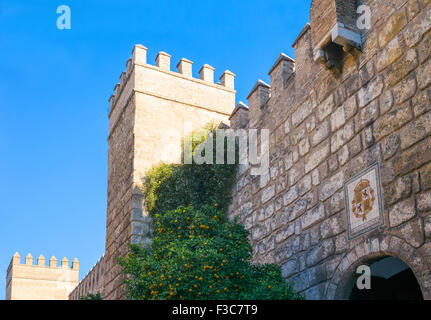 Spanien, Andalusien, Sevilla, die Reales Alcazares Wände Stockfoto
