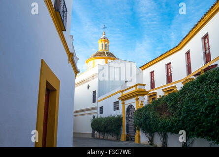 Spanien, Andalusien, Sevilla, die Plaza de Toros (Stierkampfarena) und Real Maestranza de Caballeria Museum Stockfoto