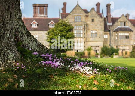 Borde Hill, West Sussex, UK. 4. Oktober 2015. Rosa und weiße Alpenveilchen unter einer Eiche vor dem Haus am Borde Hill Gardens. Bildnachweis: Julia Claxton/Alamy Live News Stockfoto