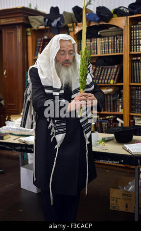 Ein religiöser Mann hält ein Esrog & Lulaw an Sukkot Morgengebet in der Synagoge in Queens, New York Stockfoto