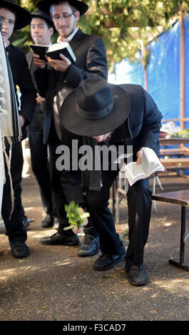 Ein jüdischer junger Mann das Hoshanos Ritual durchführen, am letzten Tag von Sukkot in eine Laubhütte in Queens, New York City. Stockfoto