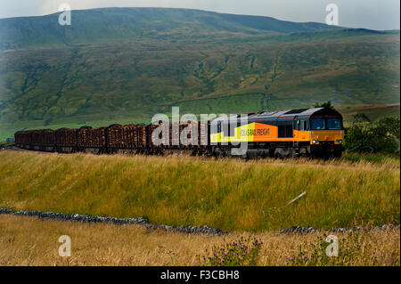 Class 66 auf Colas Log Train, Ribblehead, Settle Carlisle Railway Stockfoto