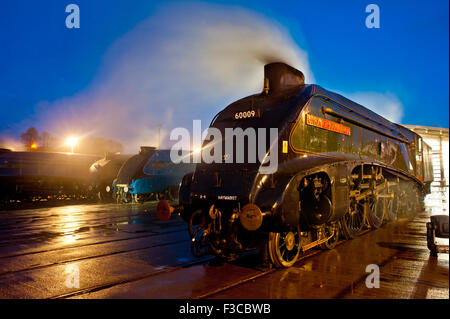 die große Versammlung A4 Klasse Dampfmaschinen in der Nacht, Fortbewegung Museum Shildon county Durham Stockfoto
