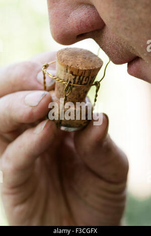 Weinkenner riechen Kork, beschnitten Stockfoto