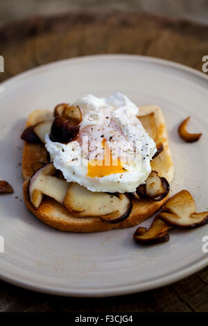 Toast mit Steinpilzen und pochiertem Ei Stockfoto