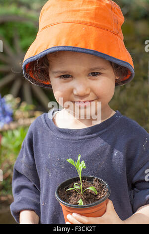 3 Jahre alter Junge mit Keimling, die er neu vergossen hatte. Stockfoto