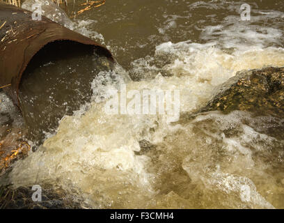 Abwasser läuft langsam aus einer konkreten Pipeline direkt auf einem natürlichen Teich mit grünen Rasen auf der Bank und hellgrün kleine Stockfoto