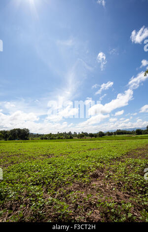 viele Wolken in der Landschaft in Thailand Stockfoto