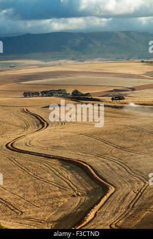 hügelige Ackerland in der Overberg Region in der Nähe von Villiersdorp, Western Cape, Südafrika Stockfoto