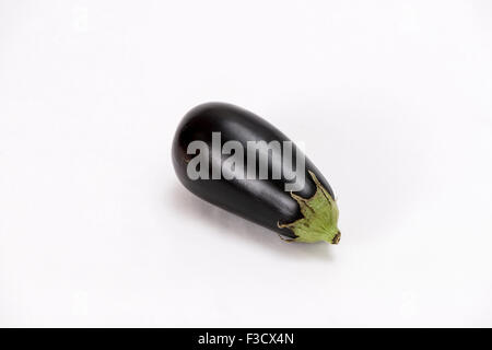 Eine aubergine (Urtica), auf weissem Tabelle angezeigt Stockfoto