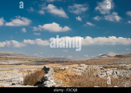 Blick Richtung Mullaghmore Berg, aus Gortlecka, Burren, County Clare, Irland Stockfoto