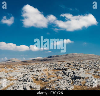 Blick Richtung Mullaghmore Berg, aus Gortlecka, Burren, County Clare, Irland Stockfoto