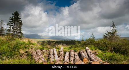 Auf der Suche nach Osten in Richtung Hungry Hill von der Forstwirtschaft-Plantage auf dem Knockoura Hill, West Cork, Irland Stockfoto