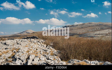 Blick Richtung Mullaghmore Berg, aus Gortlecka, Burren, County Clare, Irland Stockfoto