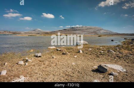 Blick Richtung Mullaghmore Berg, aus Gortlecka, Burren, County Clare, Irland Stockfoto