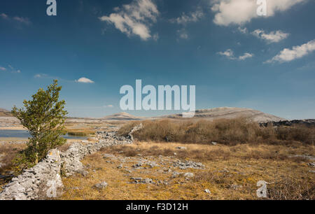 Blick Richtung Mullaghmore Berg, aus Gortlecka, Burren, County Clare, Irland Stockfoto