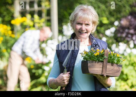 Portrait Of Senior Couple zusammen im Garten arbeiten Stockfoto