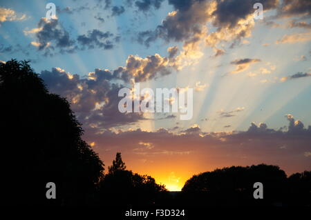 Sonnenuntergang Strahlen steigen hinter der Silhouette der Bäume Stockfoto