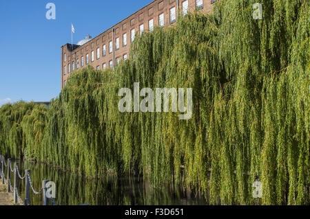 St James Mill und Willow Bäume Norwich Norfolk UK Stockfoto