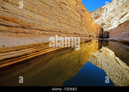 Ein Avdat Canyon Stockfoto