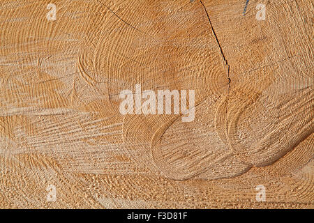 Stapel von neuen hölzernen Stollen auf dem Holzplatz Stockfoto