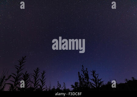 Sternenhimmel in der Nacht Stockfoto