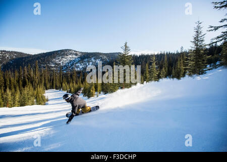 Downhill Snowboard Mann Stockfoto