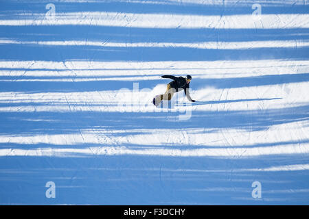 Downhill Snowboard Mann Stockfoto