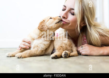 Eigentümer küssen Golden Retriever Welpen Stockfoto