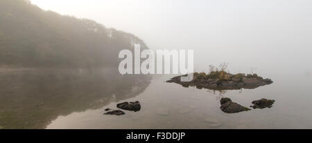 Niedrige Schale in der Nähe, Coniston, Cumbria, Lake District, UK im Nebel mit Baum Spiegelung im Wasser Stockfoto