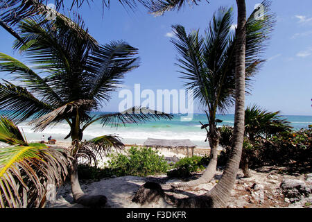 Quintana Roo, Quintana Roo Estado de México. 5. Oktober 2015. Menschen sauber Strand in Tulum, Quintana Roo Zustand von Mexiko, 5. Oktober 2015. Die Strände von Cancun und Tulum wurden als Mexico und Central America führenden Badeort 2015 bei den World Travel Awards nominiert. © Francisco Galvez/NOTIMEX/Xinhua/Alamy Live-Nachrichten Stockfoto