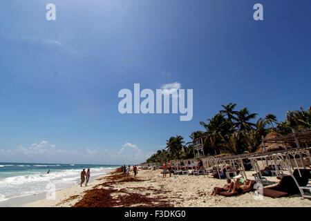 Quintana Roo, Quintana Roo Estado de México. 5. Oktober 2015. Touristen sind an einem Strand in Tulum, Quintana Roo Zustand von Mexiko, am 5. Oktober 2015 gesehen. Die Strände von Cancun und Tulum wurden als Mexico und Central America führenden Badeort 2015 bei den World Travel Awards nominiert. © Francisco Galvez/NOTIMEX/Xinhua/Alamy Live-Nachrichten Stockfoto