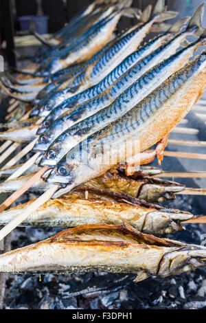 Stockfisch, Fischgericht zubereitet auf Holzstab wird gegrillt, Grainau, Bayern, Deutschland Stockfoto