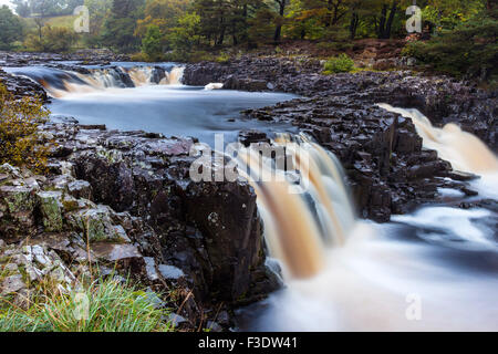 River Tees, geringe Kraft, Bowlees, Teesdale, County Durham.  Dienstag, 6. Oktober 2015, UK Wetter.  In den North Pennines, die über Nacht regen wich Vormittag Nieselregen, die gemeint war es neblig und trüb Start in den Tag im oberen Teesdale.  Die Prognose für den Rest des Tages ist für den Regen nördlich vom frühen Nachmittag führt zu einigen sonnigen Abschnitten und vielleicht die ungeraden Dusche schieben.  Regen wird jedoch voraussichtlich über Nacht wieder. Bildnachweis: David Forster/Alamy Live-Nachrichten Stockfoto