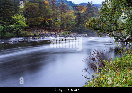 River Tees, geringe Kraft, Bowlees, Teesdale, County Durham.  Dienstag, 6. Oktober 2015, UK Wetter.  In den North Pennines, die über Nacht regen wich Vormittag Nieselregen, die gemeint war es neblig und trüb Start in den Tag im oberen Teesdale.  Die Prognose für den Rest des Tages ist für den Regen nördlich vom frühen Nachmittag führt zu einigen sonnigen Abschnitten und vielleicht die ungeraden Dusche schieben.  Regen wird jedoch voraussichtlich über Nacht wieder. Bildnachweis: David Forster/Alamy Live-Nachrichten Stockfoto