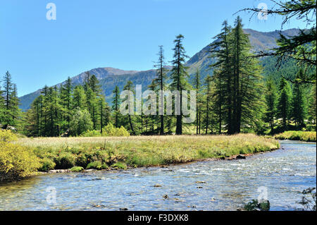 Fluss Clarée und unberührte Natur, Französische Alpen, Frankreich Stockfoto