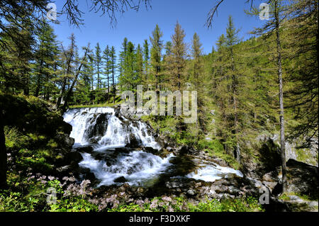 Verträumter Wasserfall Fontcouverte im Tal des Flusses Clarée; Weitwinkel und die umliegenden Lärchenholz, Französische Alpen, Frankreich Stockfoto