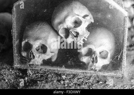 Schädel in Fontanelle Cemetery in Neapel Italien Stockfoto