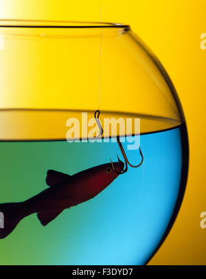 Goldfisch im Goldfischglas auf Haken gefangen Stockfoto