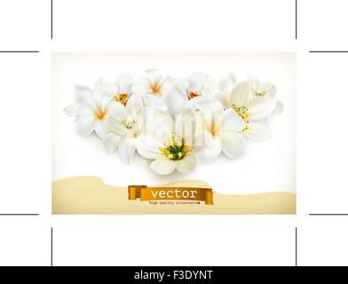 Bouquet von weißen Blumen, Vektor-illustration Stock Vektor