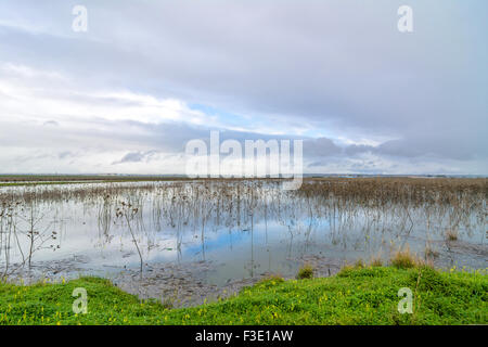 TRAPANI, Italien - 22. Februar 2014: Tagesansicht der Riserva Naturale Integrale Saline di Trapani e Paceco in Trapani, Italien. Stockfoto